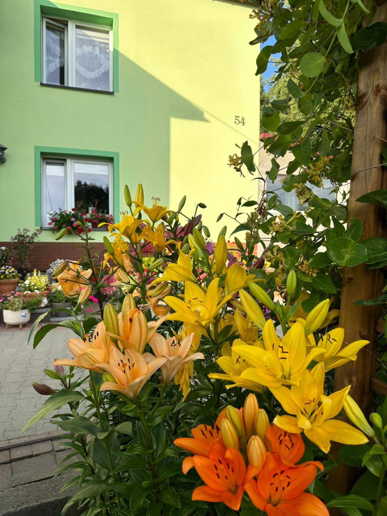 Ferienwohnung Mr. Sowa Sokolec Ludwikowice Kłodzkie Exterior foto